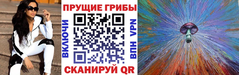 закладки Духовщина Галлюциногенные грибы Psilocybine cubensis